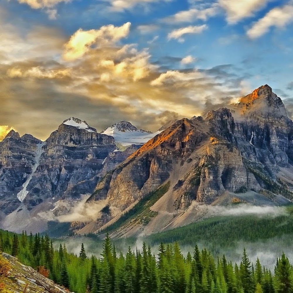 Meet your Posher, Nick